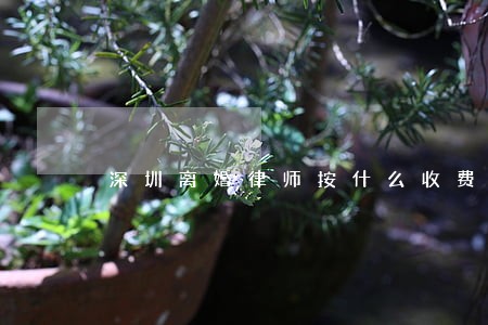 深圳离婚律师按什么收费 深圳离婚律师按什么收费