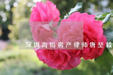 深圳离婚房产律师唐坚毅 深圳离婚房产律师唐坚毅