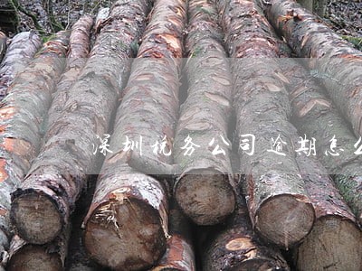 深圳税务公司逾期怎么办 深圳税务公司逾期怎么办