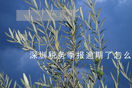 深圳税务季报逾期了怎么办 深圳税务季报逾期了怎么办