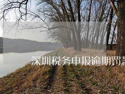 深圳税务申报逾期罚款 深圳税务申报逾期罚款