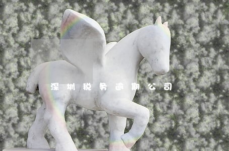 深圳税务逾期公司