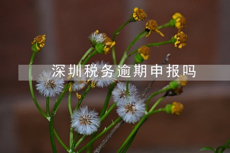 深圳税务逾期申报吗