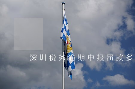 深圳税务逾期申报罚款多少 深圳税务逾期申报罚款多少