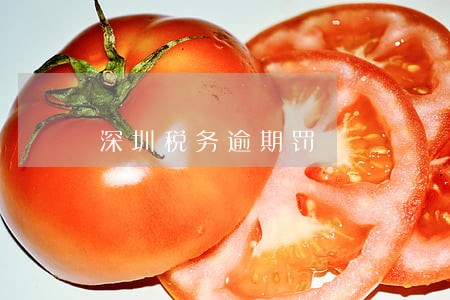 深圳税务逾期罚 深圳税务逾期罚
