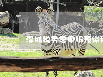 深圳税务零申报预缴税逾期
