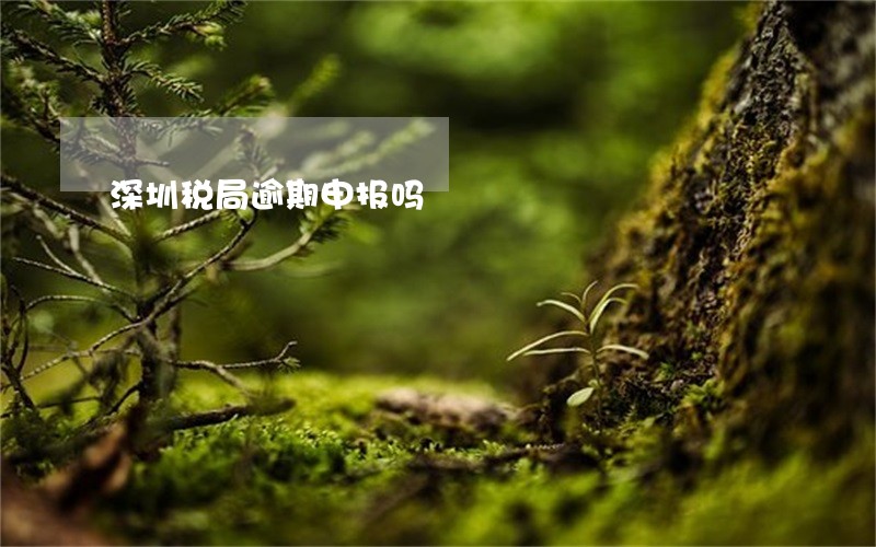 深圳税局逾期申报吗 深圳税局逾期申报吗
