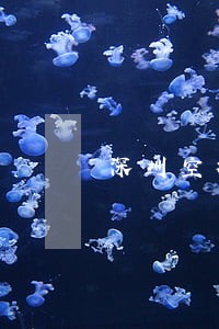 深圳空放逾期上门 深圳空放逾期上门