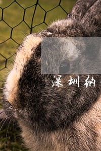深圳纳税A类申报逾期 深圳纳税A类申报逾期