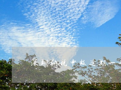 深圳纳税申报逾期一年 深圳纳税申报逾期一年