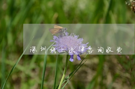 深圳线上法律咨询收费 深圳线上法律咨询收费