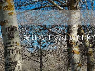 深圳线上法律顾问平台