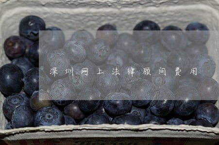 深圳网上法律顾问费用 深圳网上法律顾问费用