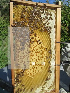 深圳网友花呗逾期 深圳网友花呗逾期