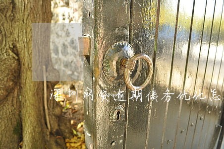 深圳网贷逾期债务优化怎么收费 深圳网贷逾期债务优化怎么收费