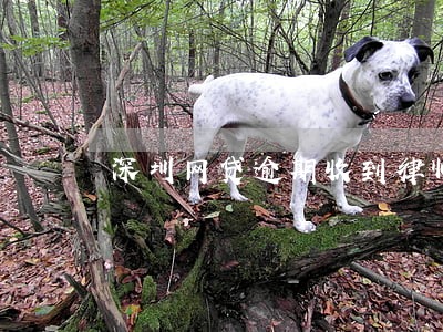 深圳网贷逾期收到律师函真假 深圳网贷逾期收到律师函真假