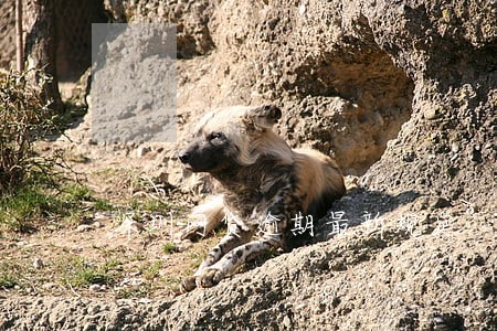 深圳网贷逾期最新规定 深圳网贷逾期最新规定