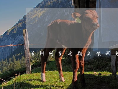 深圳网贷逾期负债减免 深圳网贷逾期负债减免