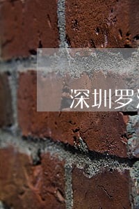 深圳罗湖建设路有法院吗
