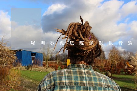 深圳罗湖法院强制执行清场 深圳罗湖法院强制执行清场