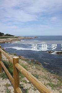 深圳罗湖法院案号编码