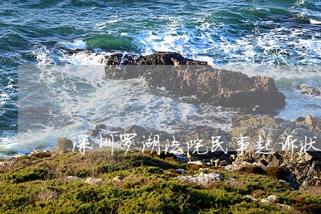 深圳罗湖法院民事起诉状模板 深圳罗湖法院民事起诉状模板