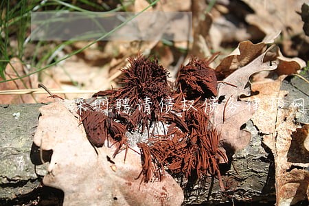 深圳聘请债权债务律师网站 深圳聘请债权债务律师网站