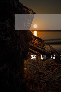 深圳股东权纠纷诉讼 深圳股东权纠纷诉讼