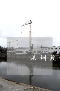 深圳股权融资纠纷律师 深圳股权融资纠纷律师
