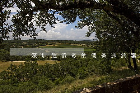 深圳胜诉多的债务违约案律师排名 深圳胜诉多的债务违约案律师排名