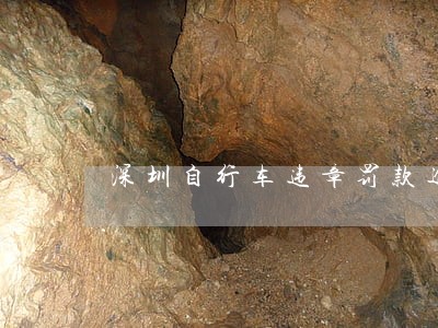 深圳自行车违章罚款逾期