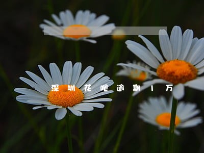深圳花呗逾期1万 深圳花呗逾期1万