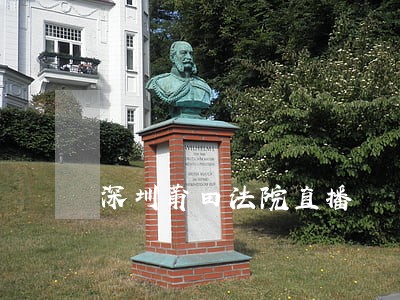 深圳莆田法院直播