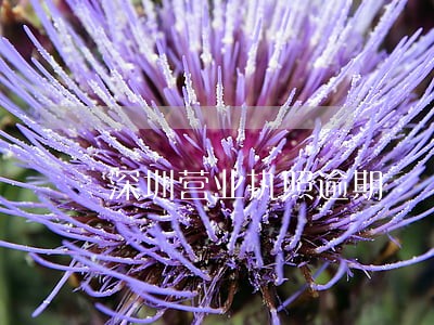深圳营业执照逾期 深圳营业执照逾期
