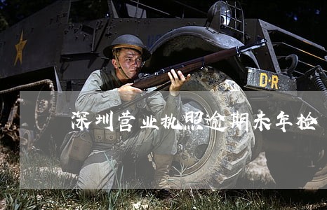 深圳营业执照逾期未年检 深圳营业执照逾期未年检