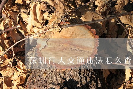 深圳行人交通违法怎么查询 深圳行人交通违法怎么查询