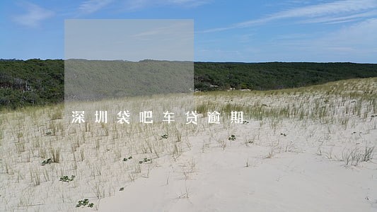 深圳袋吧车贷逾期 深圳袋吧车贷逾期