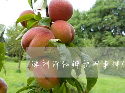 深圳诉讼辩护刑事律师 深圳诉讼辩护刑事律师