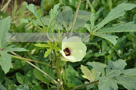 深圳请债务律师要花多少钱 深圳请债务律师要花多少钱