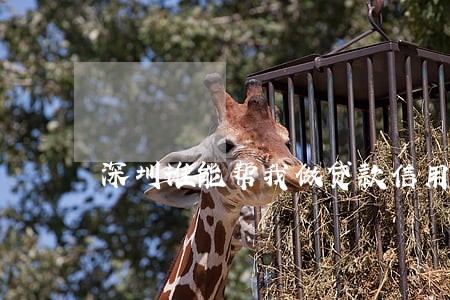 深圳谁能帮我做贷款信用卡逾期中