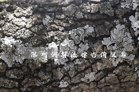 深圳调解法律咨询服务 深圳调解法律咨询服务