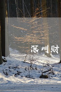 深圳财务报表逾期会罚款吗 深圳财务报表逾期会罚款吗