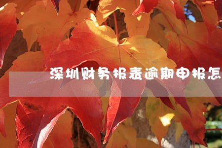 深圳财务报表逾期申报怎么办