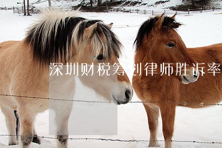 深圳财税筹划律师胜诉率高 深圳财税筹划律师胜诉率高