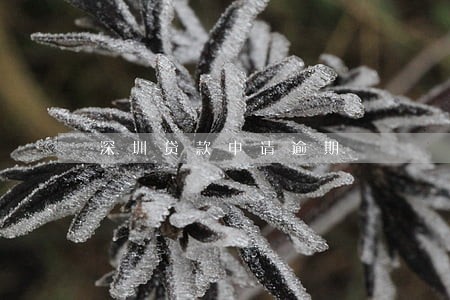 深圳贷款申请逾期 深圳贷款申请逾期