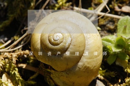 深圳资产管理请律师 深圳资产管理请律师