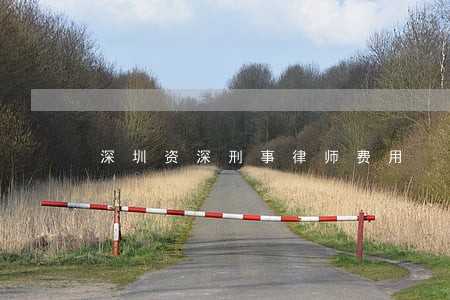 深圳资深刑事律师费用 深圳资深刑事律师费用