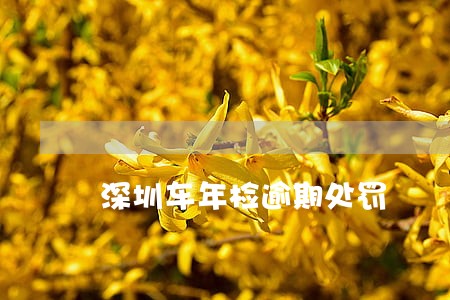深圳车年检逾期处罚