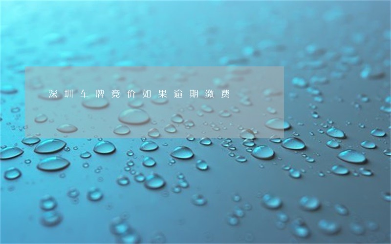 深圳车牌竞价如果逾期缴费 深圳车牌竞价如果逾期缴费