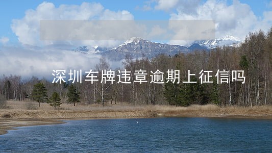 深圳车牌违章逾期上征信吗 深圳车牌违章逾期上征信吗